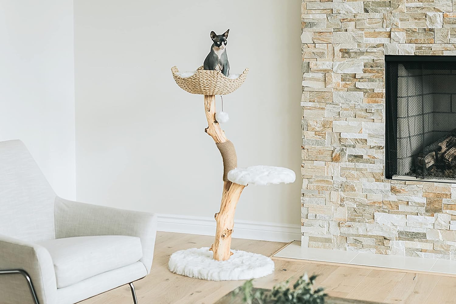 "Transform Your Home into a Cat Paradise"