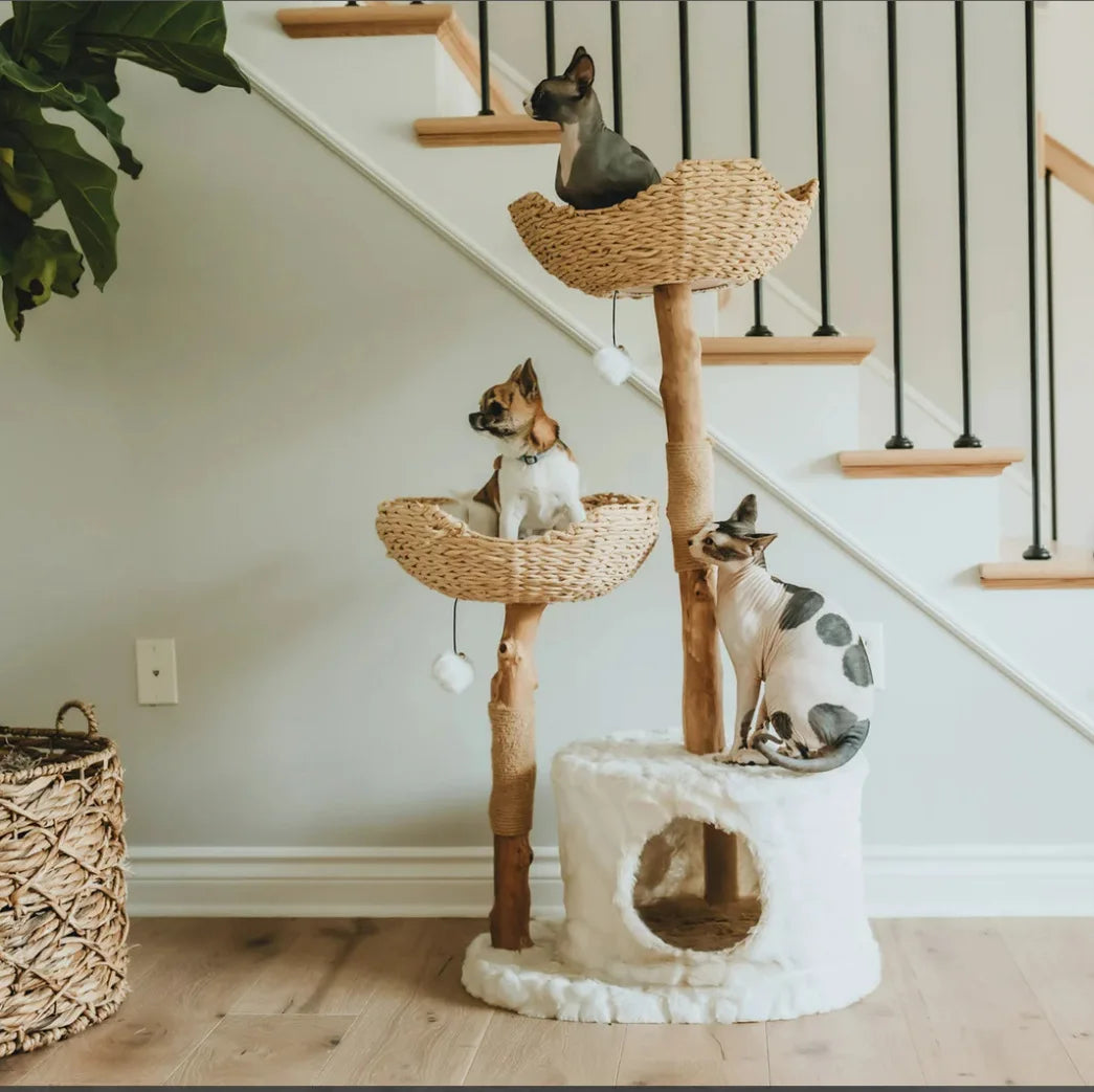 Elegant Cat Tower with Condo House™