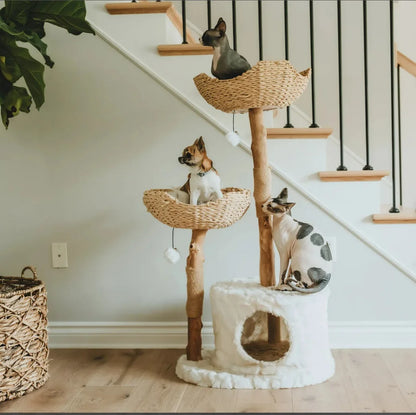 Elegant Cat Tower with Condo House™