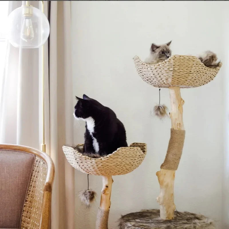 "Elevate Your Home, Enrich Your Cat's Life"