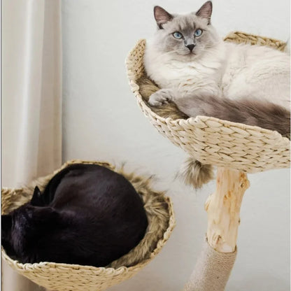 Elegant Cat Tower with Condo House™